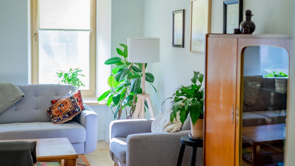 Stylish living room with soft sofas, indoor plants, and ample natural light.
